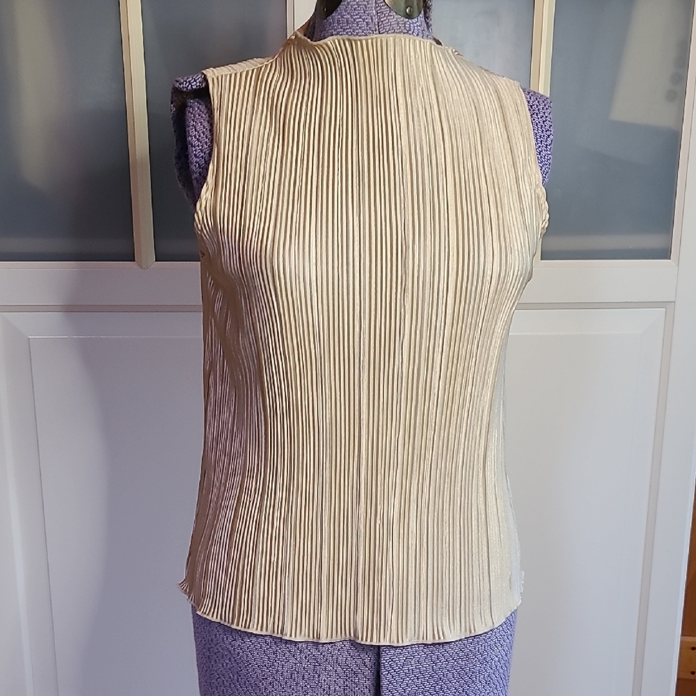 Chic Light Gold  Sleeveless Blouse